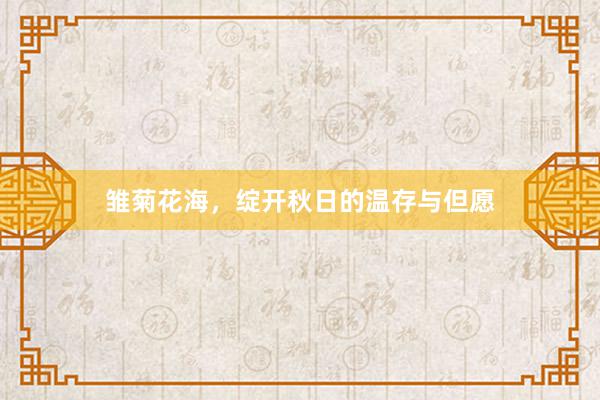 雏菊花海，绽开秋日的温存与但愿