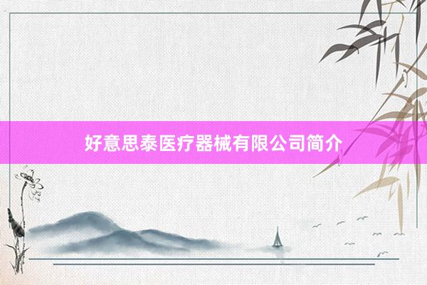 好意思泰医疗器械有限公司简介