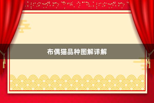 布偶猫品种图解详解