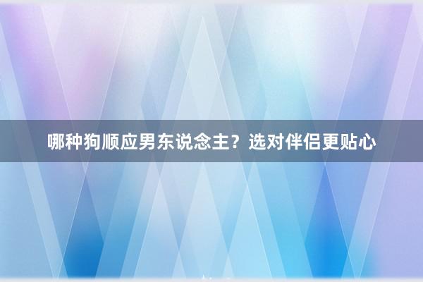 哪种狗顺应男东说念主？选对伴侣更贴心