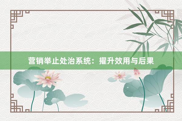 营销举止处治系统：擢升效用与后果